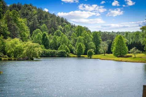 00 Valley Lake Trail Mineral Bluff GA 30559