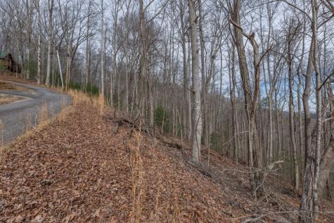 Lot 19a Stephens Road Blairsville GA 30512