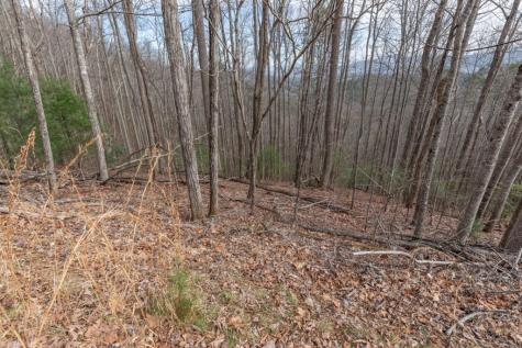 Lot 19a Stephens Road Blairsville GA 30512