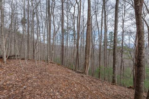 Lot 19a Stephens Road Blairsville GA 30512