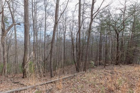 Lot 19a Stephens Road Blairsville GA 30512