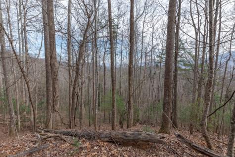 Lot 19a Stephens Road Blairsville GA 30512