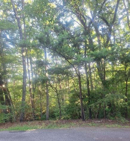 Lot 9 Cook Mountain Estate Blairsville GA 30512