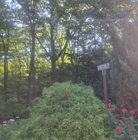 Lot 9 Cook Mountain Estate Blairsville GA 30512