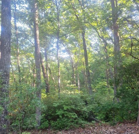 Lot 9 Cook Mountain Estate Blairsville GA 30512