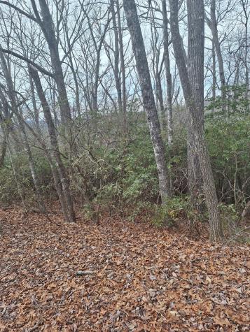 Lot 9 Cook Mountain Estate Blairsville GA 30512