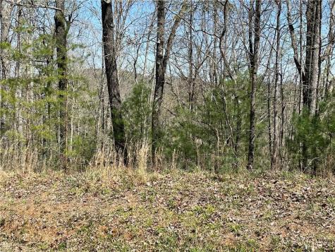 1672 Hunter Drive Ranger GA 30734