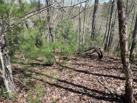 1672 Hunter Drive Ranger GA 30734