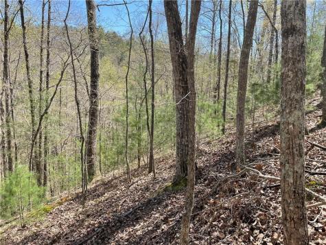 1672 Hunter Drive Ranger GA 30734