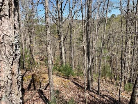 1672 Hunter Drive Ranger GA 30734