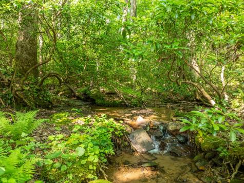 1298 Cold Stream Trail Jasper GA 30143