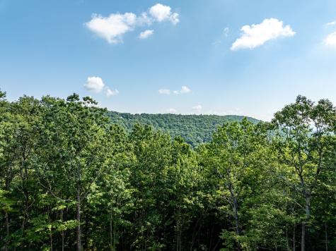 1298 Cold Stream Trail Jasper GA 30143