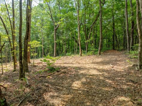 1298 Cold Stream Trail Jasper GA 30143