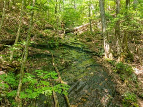 1298 Cold Stream Trail Jasper GA 30143