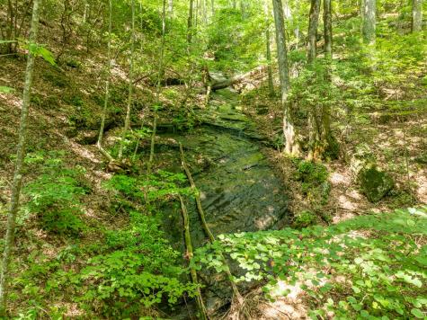 1298 Cold Stream Trail Jasper GA 30143