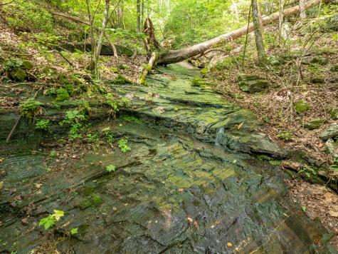 1298 Cold Stream Trail Jasper GA 30143
