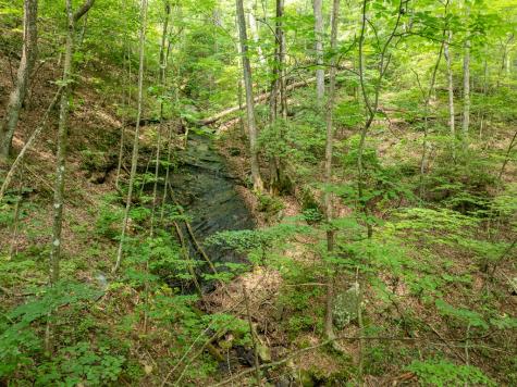 1298 Cold Stream Trail Jasper GA 30143