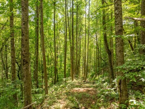 1298 Cold Stream Trail Jasper GA 30143