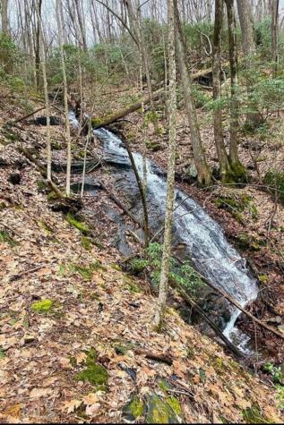 1298 Cold Stream Trail Jasper GA 30143
