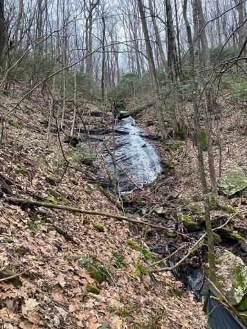 1298 Cold Stream Trail Jasper GA 30143