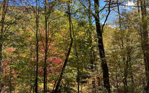 Trail 1 Tusquittee Road Hayesville NC 28904
