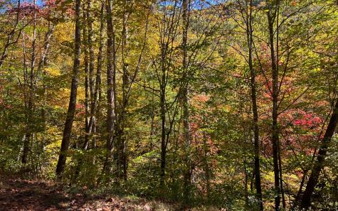 Trail 1 Tusquittee Road Hayesville NC 28904