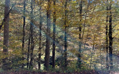 Trail 1 Tusquittee Road Hayesville NC 28904