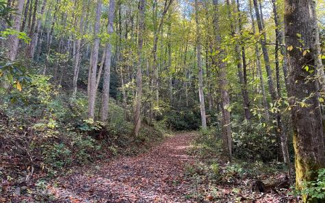 Trail 1 Tusquittee Road Hayesville NC 28904