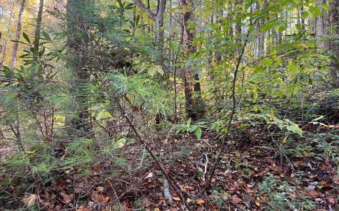 Trail 1 Tusquittee Road Hayesville NC 28904