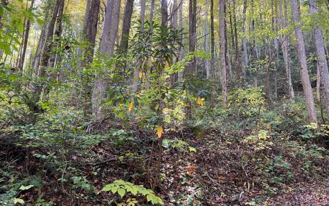 Trail 1 Tusquittee Road Hayesville NC 28904