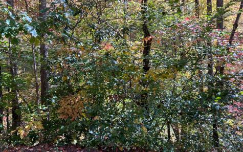 Trail 1 Tusquittee Road Hayesville NC 28904