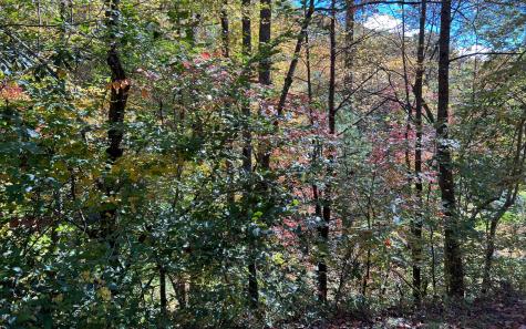 Trail 1 Tusquittee Road Hayesville NC 28904