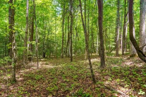LOT 32 Oceola Drive Ellijay GA 30540