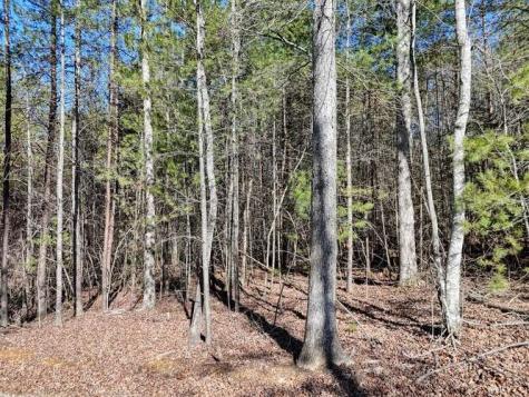 Tract 3 Mauney Circle Blairsville GA 30512