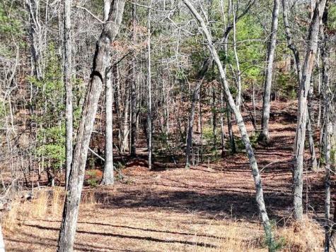 Tract 3 Mauney Circle Blairsville GA 30512