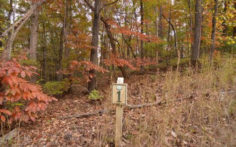 Lot 1 Serenity Ridge Lane Blairsville GA 30512