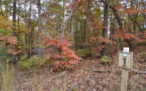 Lot 1 Serenity Ridge Lane Blairsville GA 30512