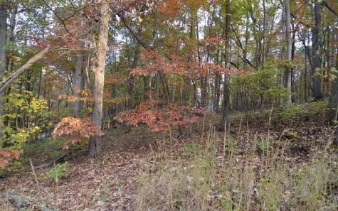 Lot 1 Serenity Ridge Lane Blairsville GA 30512