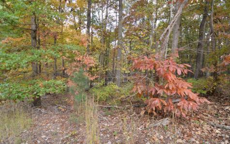 Lot 1 Serenity Ridge Lane Blairsville GA 30512
