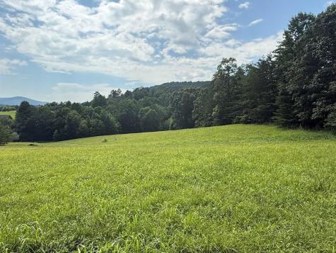 Lot 52 The Preserve At Cc Young Harris GA 30582