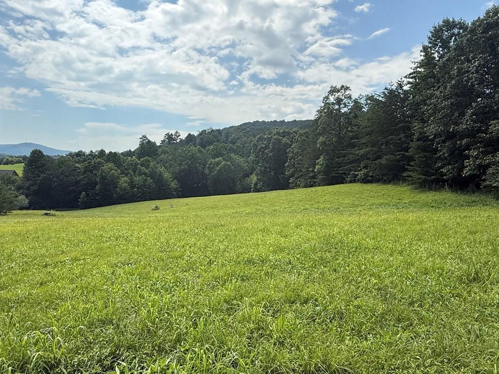 Lot 52 The Preserve At Cc Young Harris GA 30582
