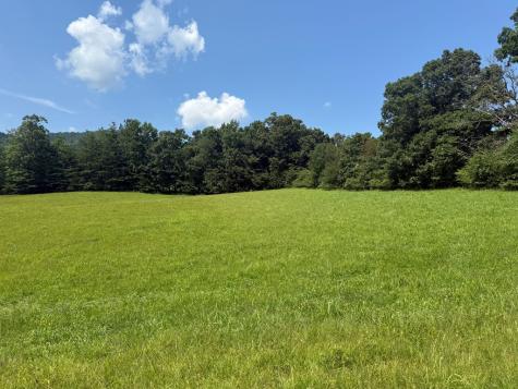 Lot 52 The Preserve At Cc Young Harris GA 30582