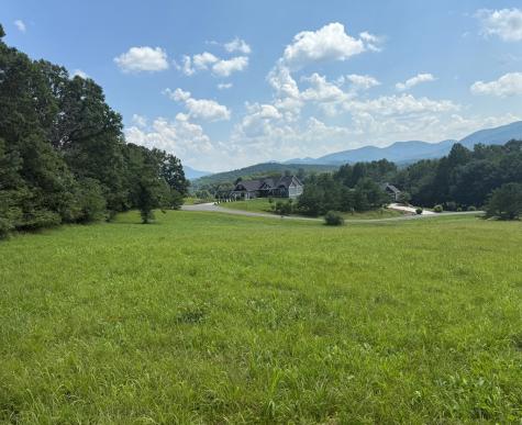 Lot 52 The Preserve At Cc Young Harris GA 30582
