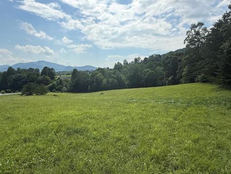 Lot 52 The Preserve At Cc Young Harris GA 30582