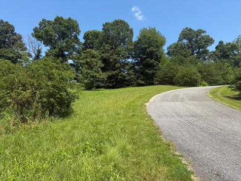 Lot 52 The Preserve At Cc Young Harris GA 30582
