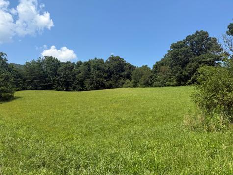 Lot 52 The Preserve At Cc Young Harris GA 30582