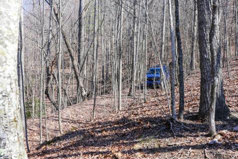 100 Ac Mica Mine Road Hayesville NC 28904