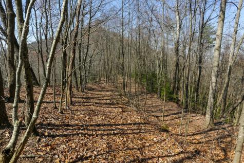 100 Ac Mica Mine Road Hayesville NC 28904