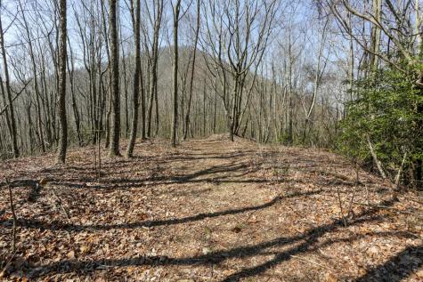 100 Ac Mica Mine Road Hayesville NC 28904