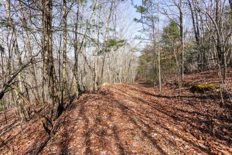 100 Ac Mica Mine Road Hayesville NC 28904